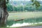 Wooden swing on a rope mount mounted on a tree on the shore of the lake.