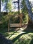 Wooden swing in the shade of the forest