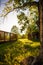 A wooden swing is suspended by long ropes from a tree branch in an eco-Park.