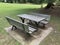 Wooden table and benches in the park. Picnic in the park.