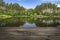 Wooden table from boards on landscape of forest lake