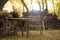 Wooden table and chairs in the backyard, firewood background