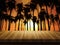 Wooden table with defocussed image of palm trees at sunset