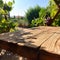 Wooden table empty display and green vine grapes garden vineyard on the background