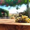 Wooden table empty display and green vine grapes garden vineyard on the background