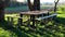 Wooden table with four benches in uncut grass