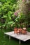 Wooden table and four chairs on a platform on a lake in tropical jungle