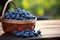 Wooden table holds a basket of plump, fresh blueberry goodness