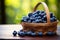 Wooden table holds a basket of plump, fresh blueberry goodness