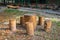 Wooden table made of a tree trunk sitting on a beautiful autumn landscape, Roman, Romania