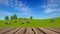 Wooden table perspective and rural landscape 4K