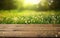 Wooden table product display with lush green flower garden background of grass and blurred foliage