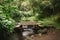 a wooden table surrounded by lush greenery, with a stream in the background