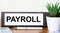 On a wooden table there is a folder for documents with a PAYROLL dough, a green plant in a pot, a pen and a calculator. Business