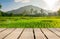 Wooden table top on blur rice field and mountain background.For place food,drink or health care business.fresh landscape and relax