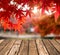 Wooden table top on blurred red Maple leaves in corridor garden