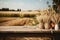 A wooden table topped with a vase filled with wheat. Harvest time, Thanksgiving decor