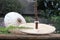 On a wooden table are two umbrella mushrooms with fern branches, side view, close-up