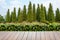Wooden terrace with views of nature Pine Tree Forrest