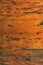 Wooden texture backround