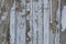 Wooden texture with old paint. The texture of the tree is colored. Old wooden boards with irradiated paint. Natural wood texture