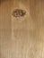 Wooden Texture Photo. Board with Wooden Fiber