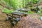 Wooden timber bench, autumn