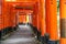 Wooden Torii Gates near Kyoto, Japan