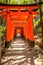 Wooden Torii Gates near Kyoto, Japan