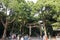 Wooden Torii is the traditional Japanese gate at the entrance of Meiji Shinto Shrine in Shibuya Japan