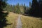 Wooden tourist path over marshland, Slovakia