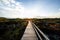 Wooden touristic walkway in nature reserve