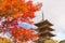 The wooden tower of To-ji Temple, Kyoto, Japan .Toji Pagoda during the fall season..Autumn scenery of the To-ji temple and reflect