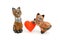 Wooden toy cats and red heart isolated on white . Valentine`s Day greeting card