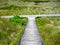 Wooden track leading in two directions