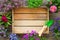 Wooden tray and several garden flowers in pots. Top view