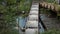 Wooden trays for fish spawning on the river. Fish helping device