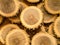 Wooden Tree Log background