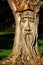 Wooden tree sculpture