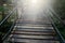 Wooden trekking path in rain forest