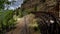 Wooden Trestle Bridge of the abandoned Kettle Valley Railway in Myra Canyon