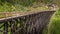 Wooden Trestle Bridge of the abandoned Kettle Valley Railway in Myra Canyon