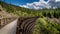 Wooden Trestle Bridge of the abandoned Kettle Valley Railway in Myra Canyon