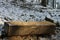 Wooden trough full of grain for wild animals in snowy forest