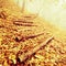 Wooden trunk steps in autumn forest, tourist footpath. Colorful autumn park.