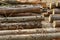 Wooden trunks long logs with bark untreated background building rustic natural material