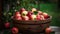 Wooden tub full of freshly harvested red apples with a halved apple on display on a wooden tabletop. Generative AI