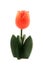 Wooden tulip