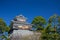 wooden turret or yagura on stone wall of Kumamoto castle in Japan with green tree