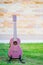 Wooden ukulele isolated on green grass